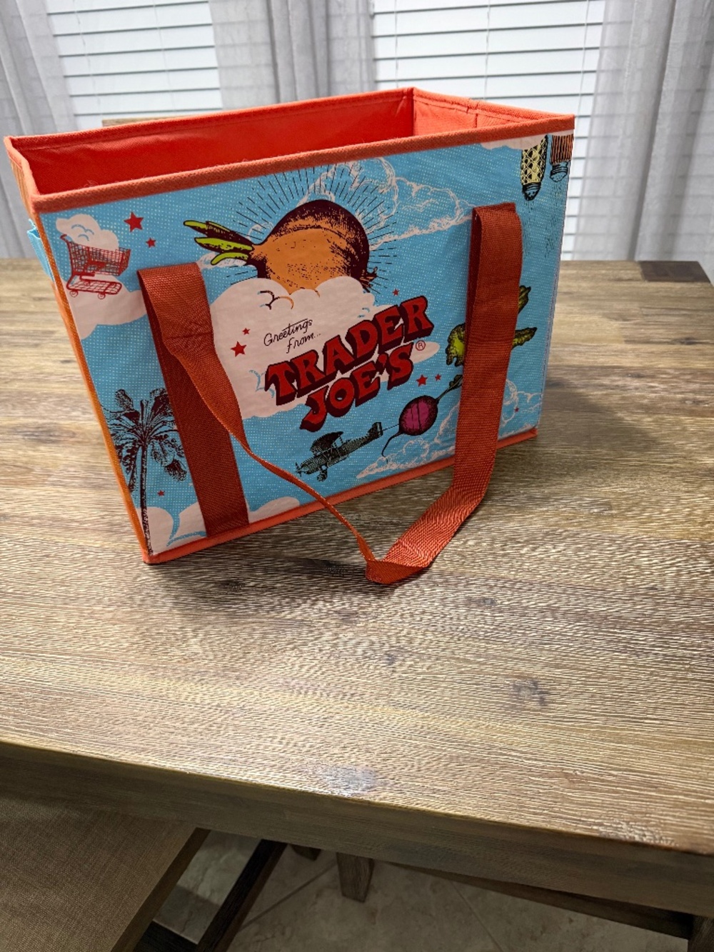 TRADER JOE COLLAPSABLE TOTE